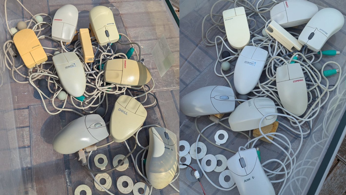 Selection of mice before and after